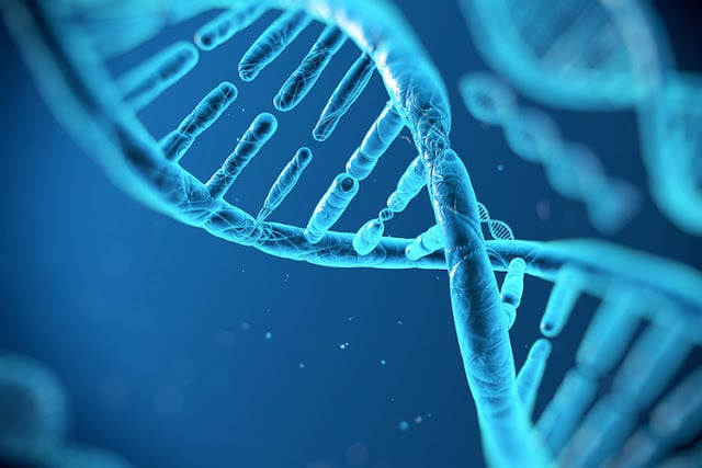 DNA-Strand-blue2B252812529.jpg