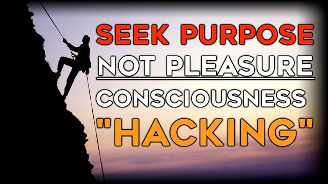 Seek2BPurpose2BNot2BPleasure2B-2BConsciousness2B2522Hacking2522.jpg