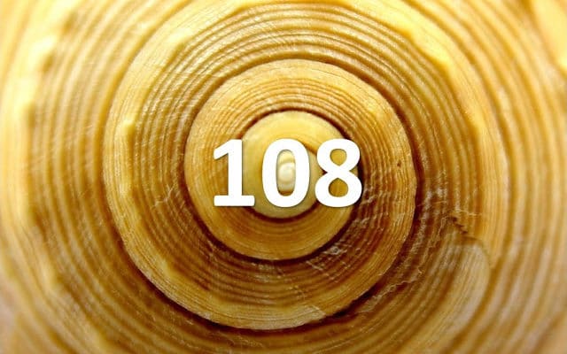 The-Vibrational-Quality-of-108.jpg