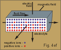 fig.4ef