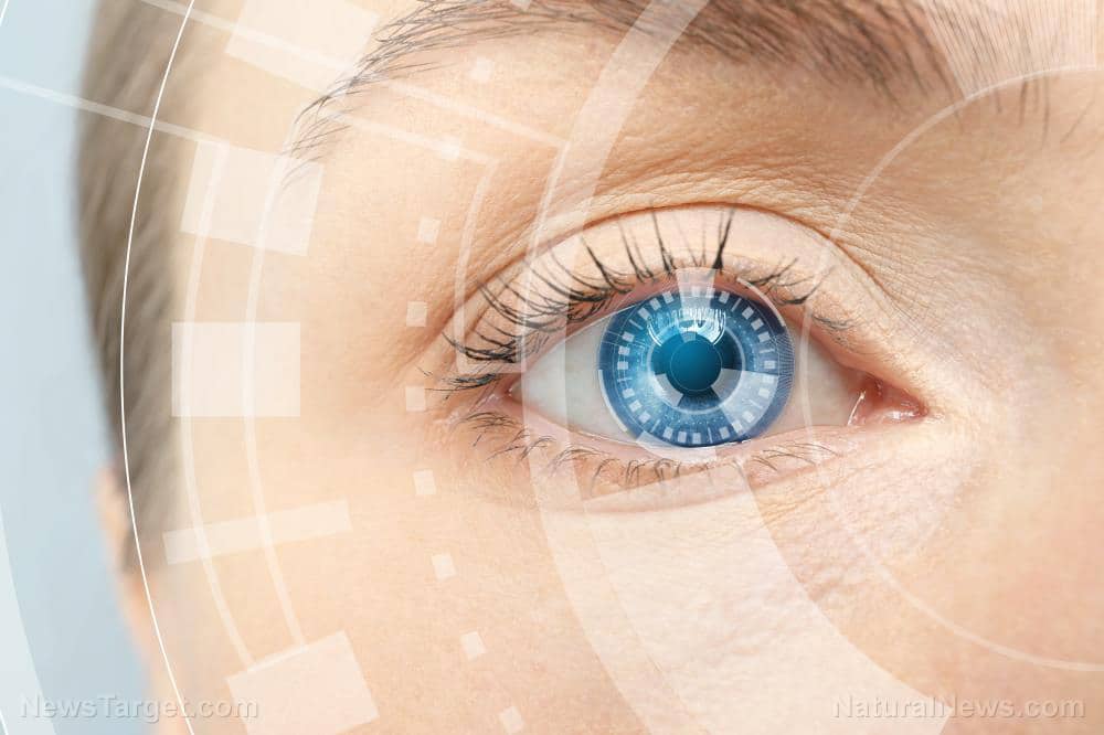 The Human Eye has a Spooky Ability: It can Detect “Ghost Images ...