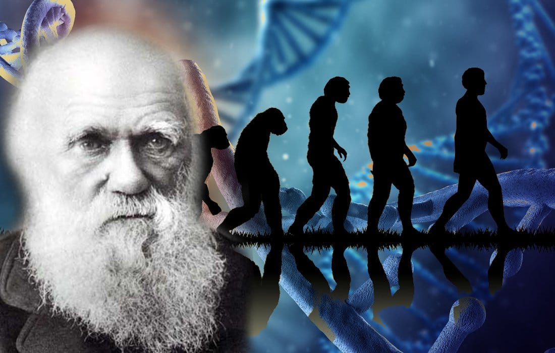 Prominent Yale Professor Explains How Darwin's Theory of ...