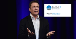 Elon Musk Questions Why Twitter Allows Death Threats Against Libs Of Tiktok